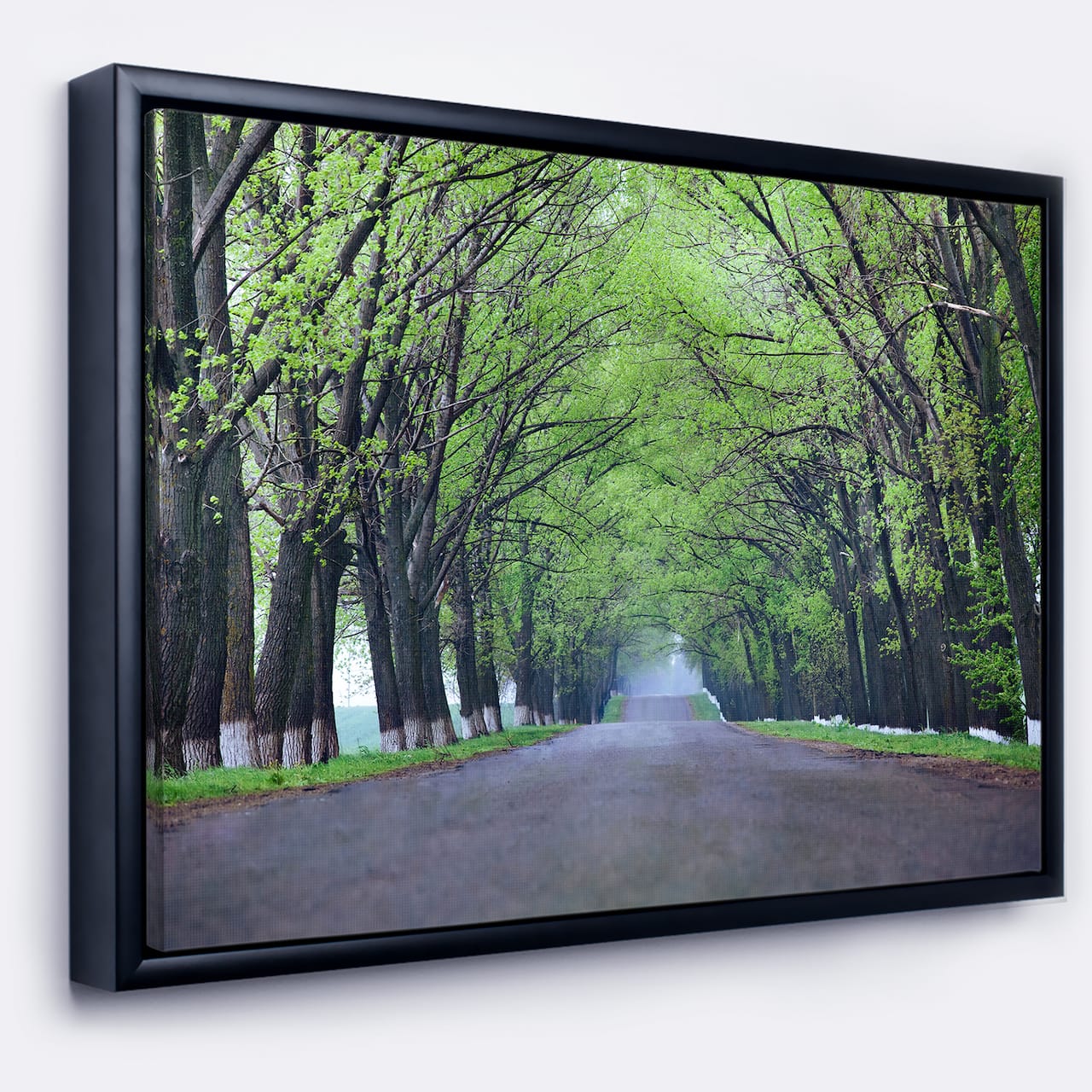 Designart - Arched Trees Over Country Road - Landscape Photography Canvas Print in Black Frame